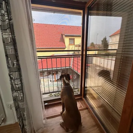 Prazirna Drahonice - Stara Hlina * Třeboň